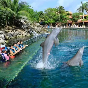 https://baru-luxury-homes-puerto-aventuras.allrivieramayahotels.com